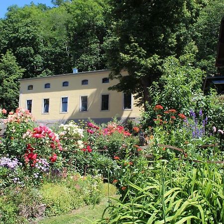Ferienwohnung Goldgrund Meißen Exteriör bild