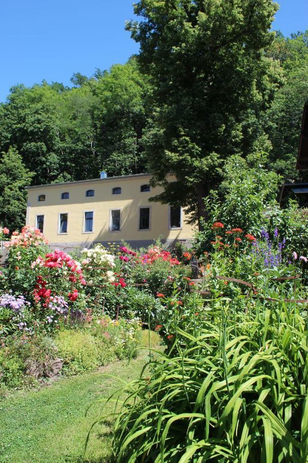 Ferienwohnung Goldgrund Meißen Exteriör bild
